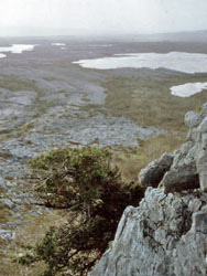 The Burren